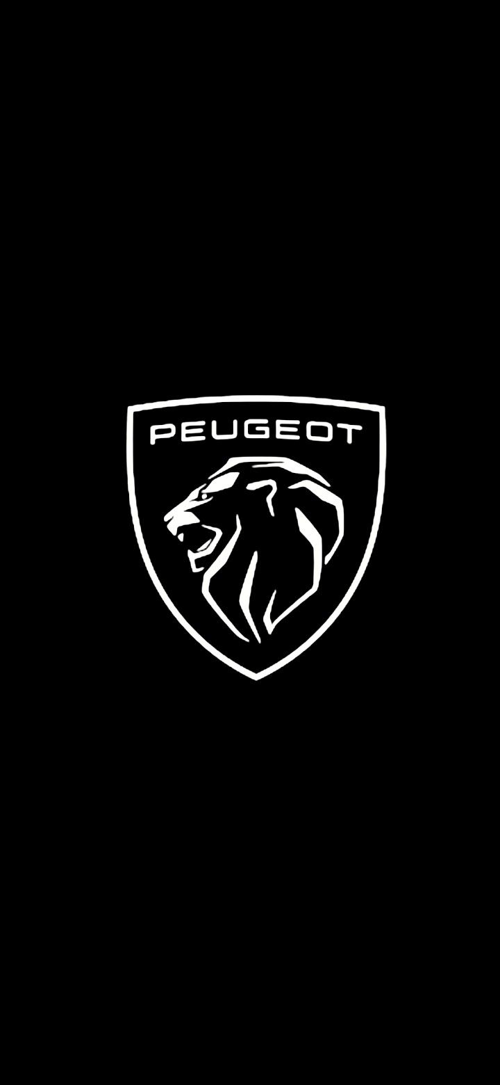 Peugeot Nabendeckel / Felgendeckel