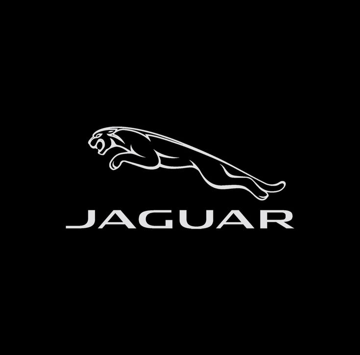 Jaguar Nabendeckel / Felgendeckel