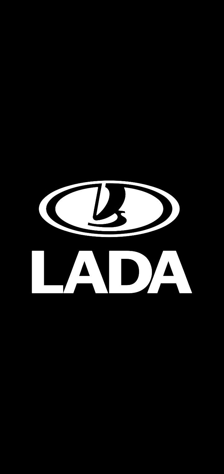 Lada Nabendeckel / Felgendeckel