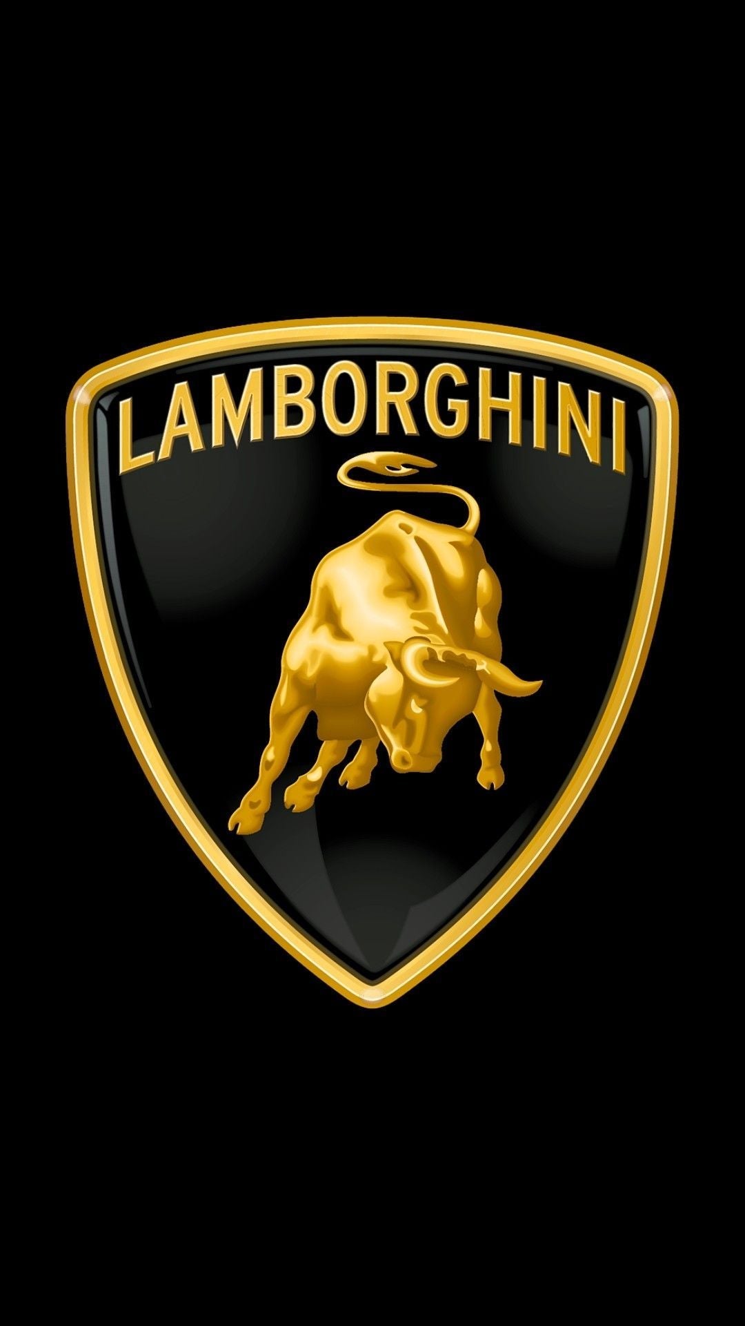 Lamborghini Nabendeckel / Felgendeckel