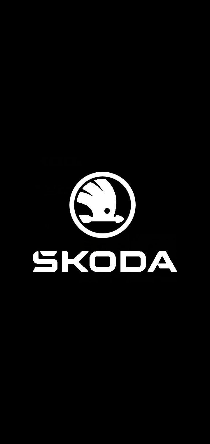 Skoda Nabendeckel / Felgendeckel