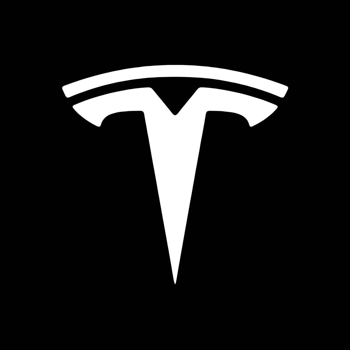 Tesla Nabendeckel / Felgendeckel