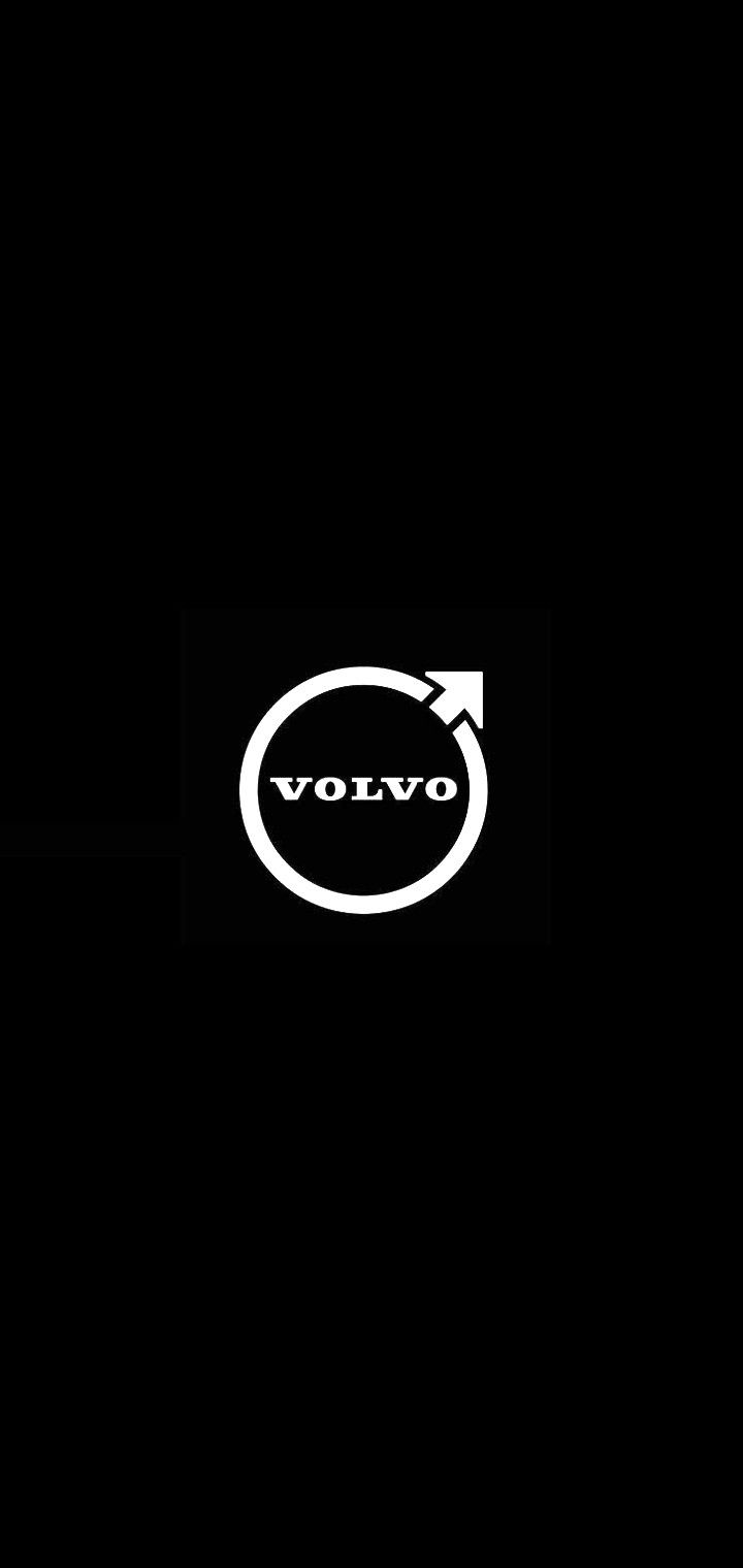Volvo Nabendeckel / Felgendeckel