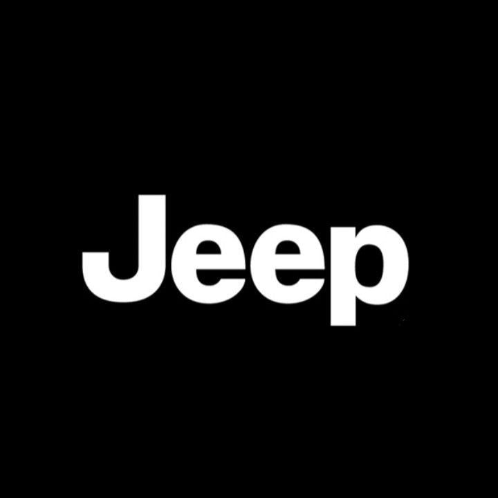 Jeep Nabendeckel / Felgendeckel